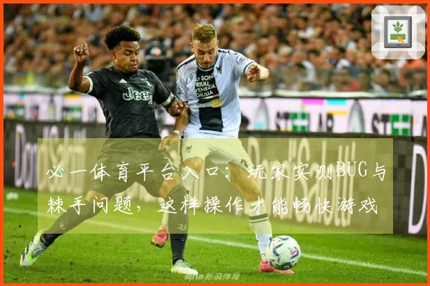 必一体育平台入口：玩家实测BUG与棘手问题，这样操作才能畅快游戏！