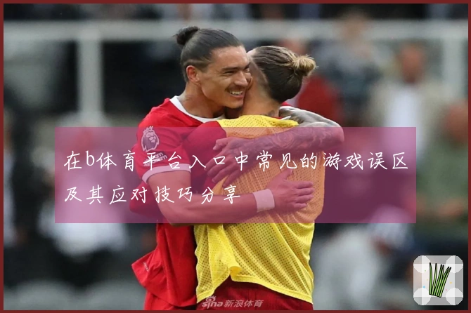 在b体育平台入口中常见的游戏误区及其应对技巧分享